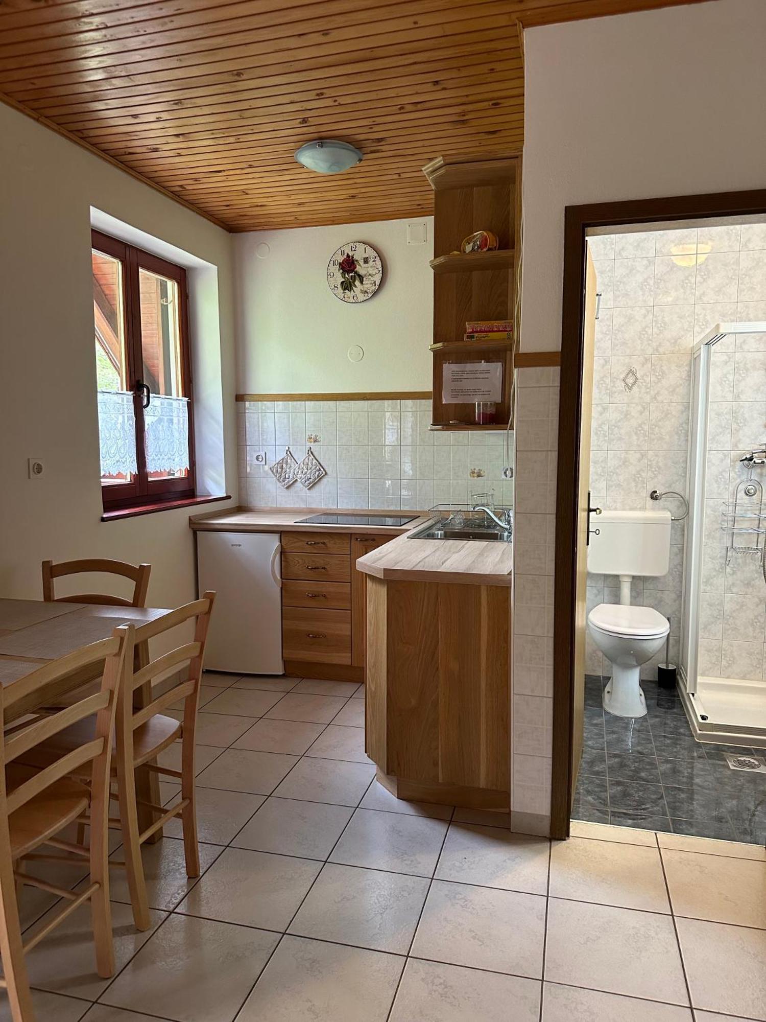Apartment Jozi Soča Quarto foto